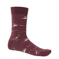 Chevalier Pomeroy Socks