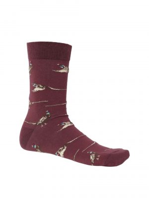 Chevalier Pomeroy Socks