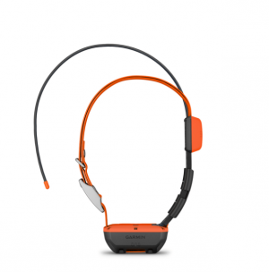 Garmin Alpha T20